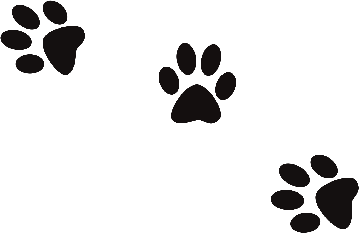 Animal Paw Prints Pattern PNG