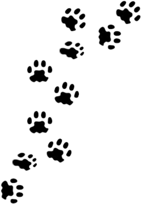Animal Paw Prints Pattern PNG