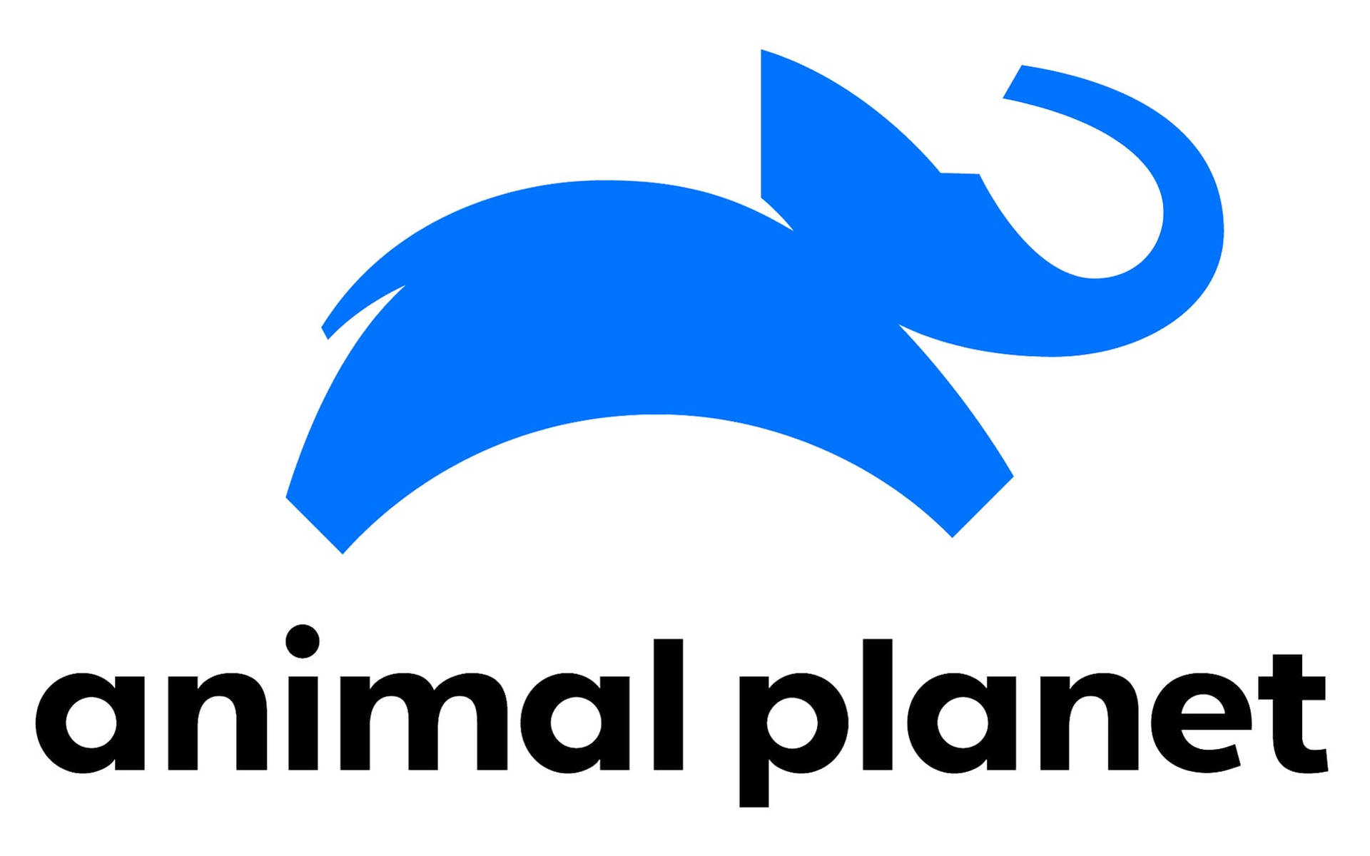 Animal Planet Blue Elephant Logo Background