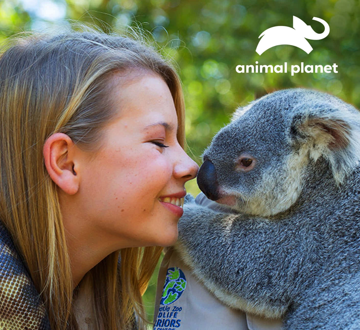 Descubreel Mundo De La Vida Salvaje Con Animal Planet.