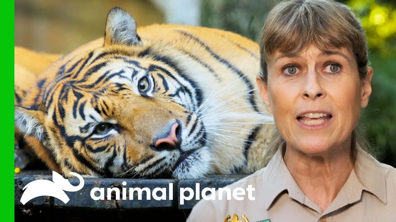 Entdeckensie Die Wunder Von Animal Planet
