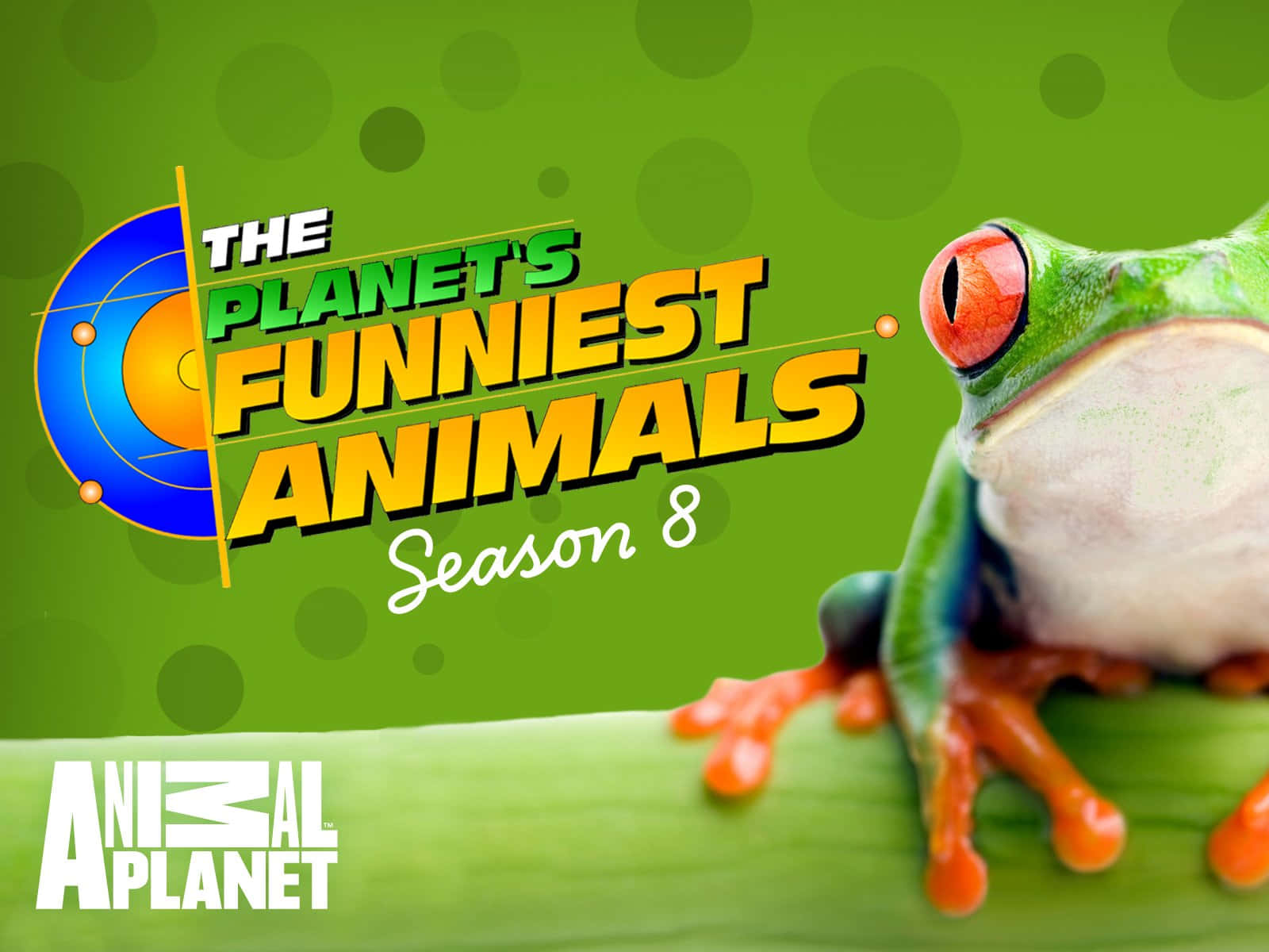 Explore the wonderful world of animals with Animal Planet