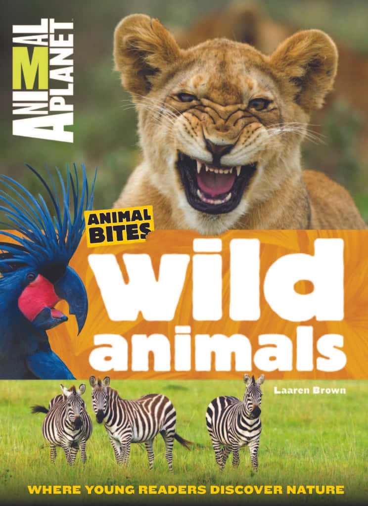 Explore the Wonders of Our Animal World