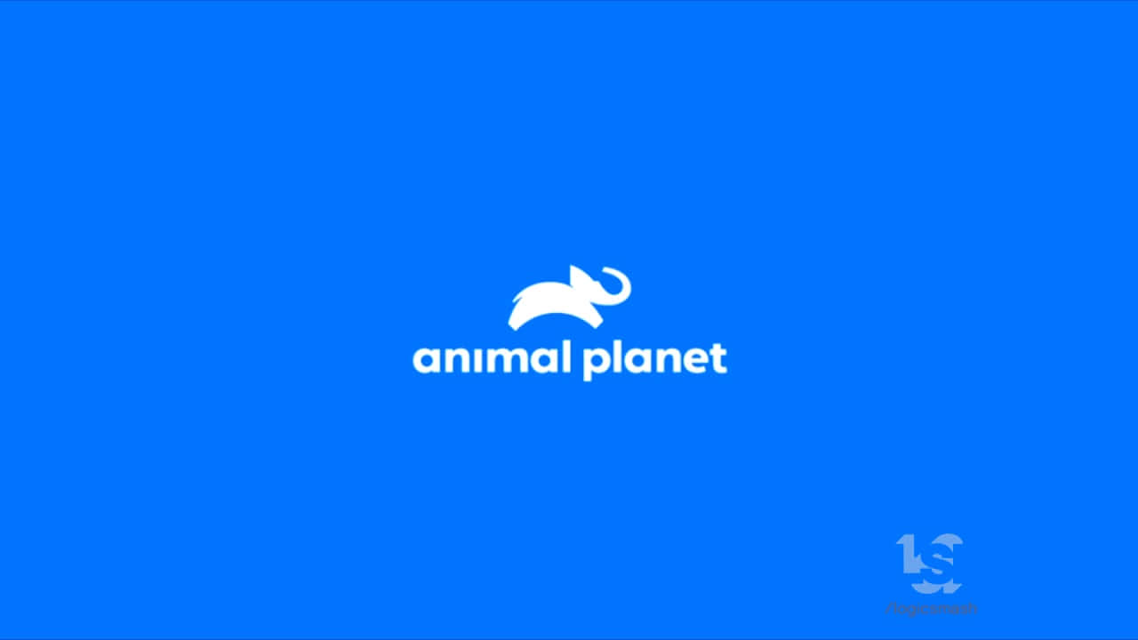 Entdeckeexotische Kreaturen Mit Animal Planet!