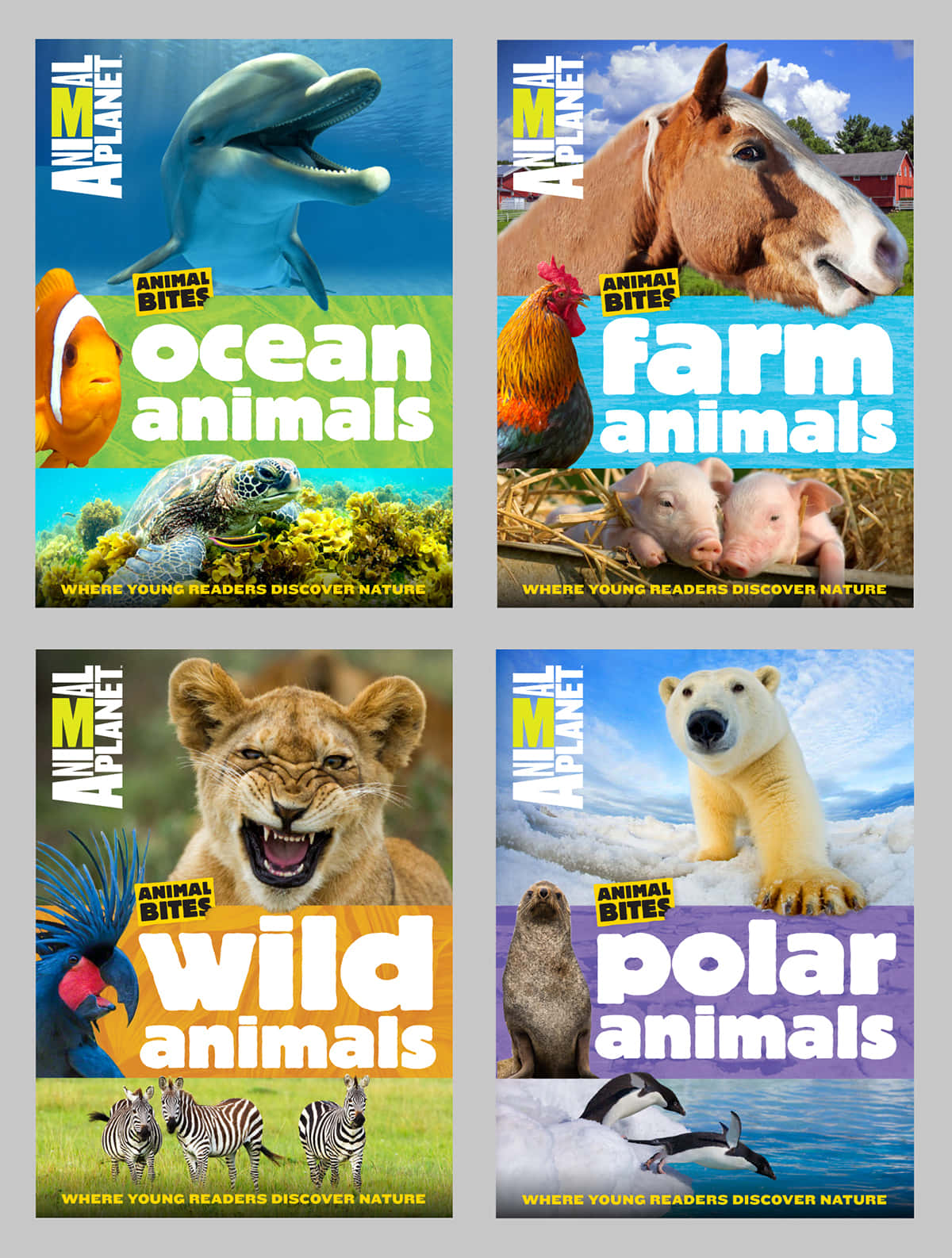 Explore our fascinating animal world with Animal Planet
