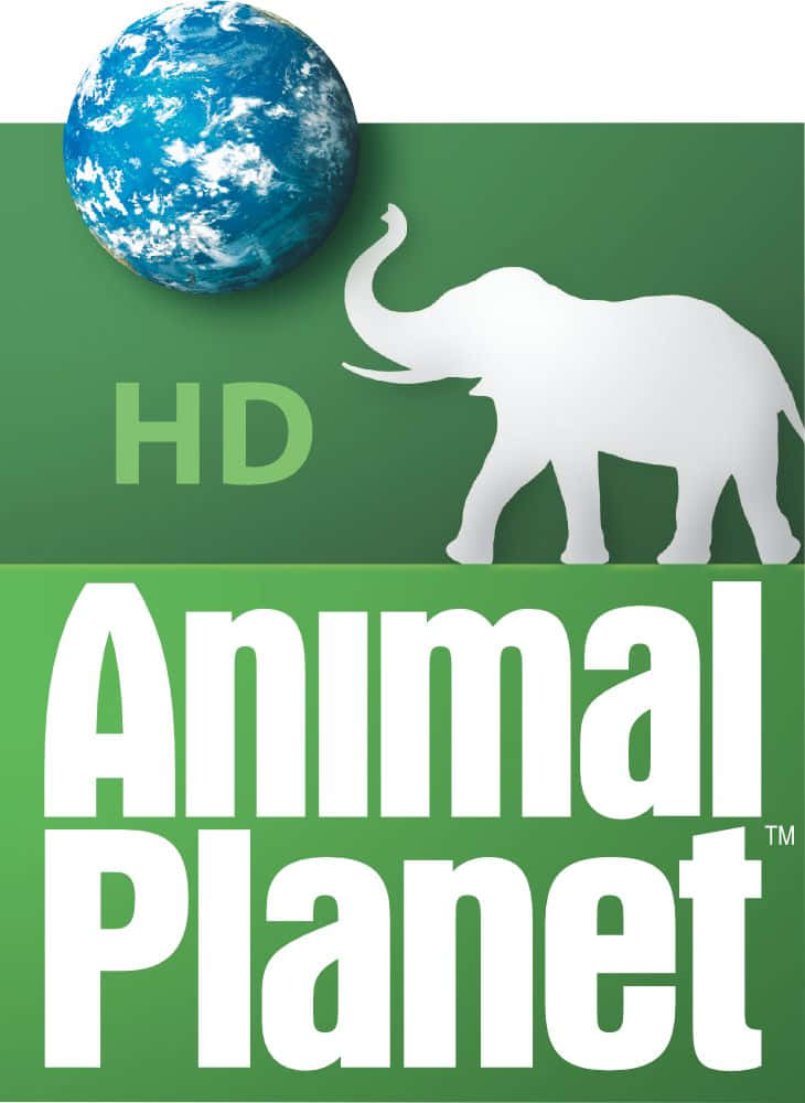 Utforskade Vilda Underverken Av Animal Planet