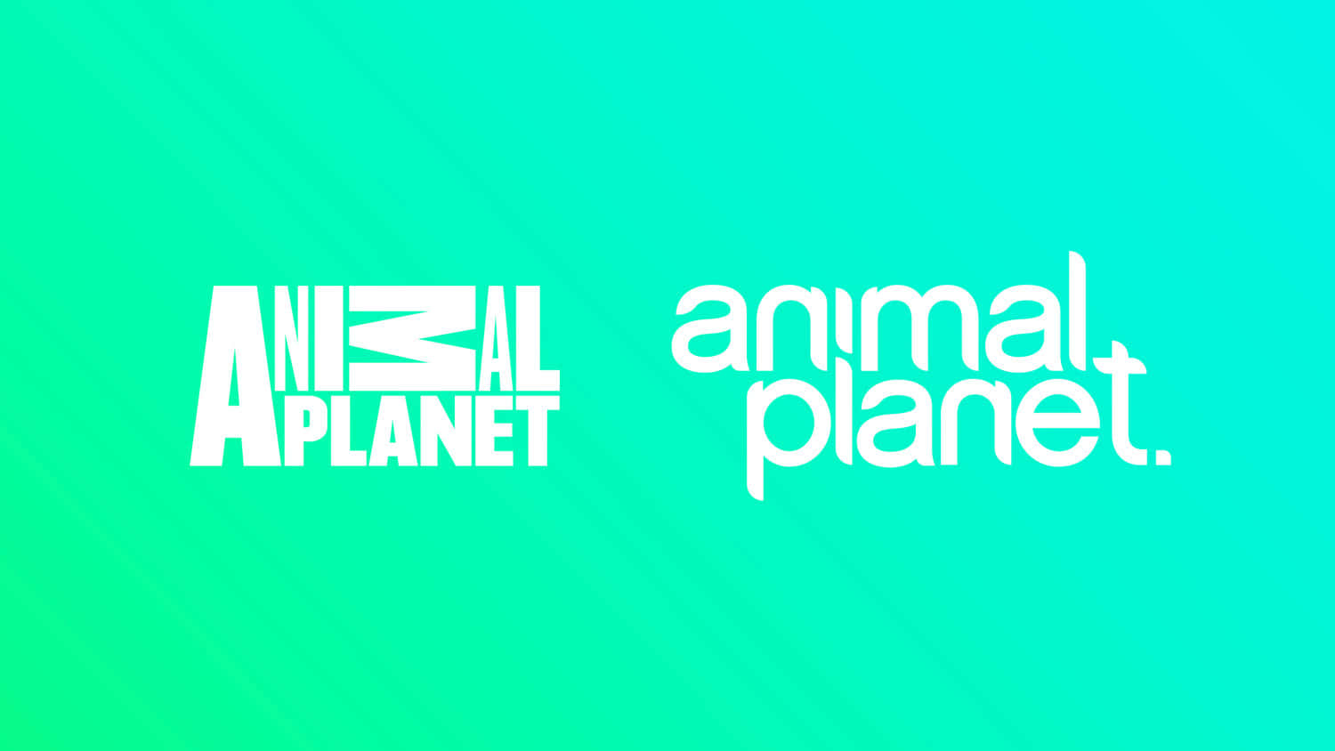 Animal Planet - A Planet For Kids