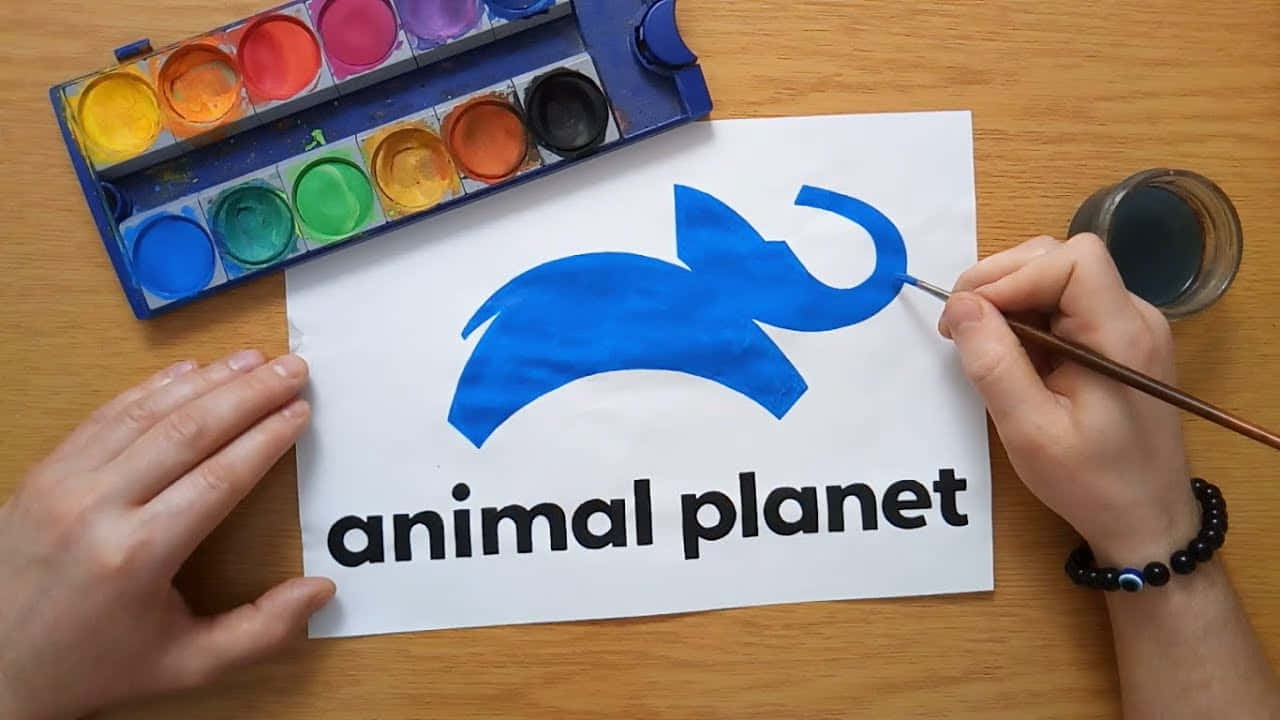 Genießensie Die Unglaubliche Welt Der Tiere Mit Animal Planet.