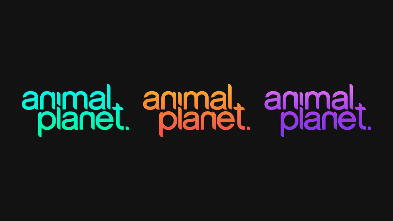 Utforskavärlden Av Djur Med Animal Planet