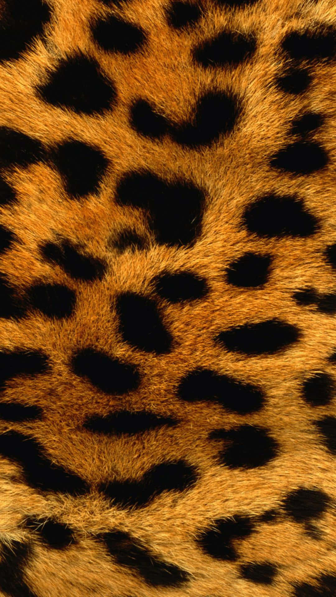 Estampadode Animal De Leopardo Fondo de pantalla