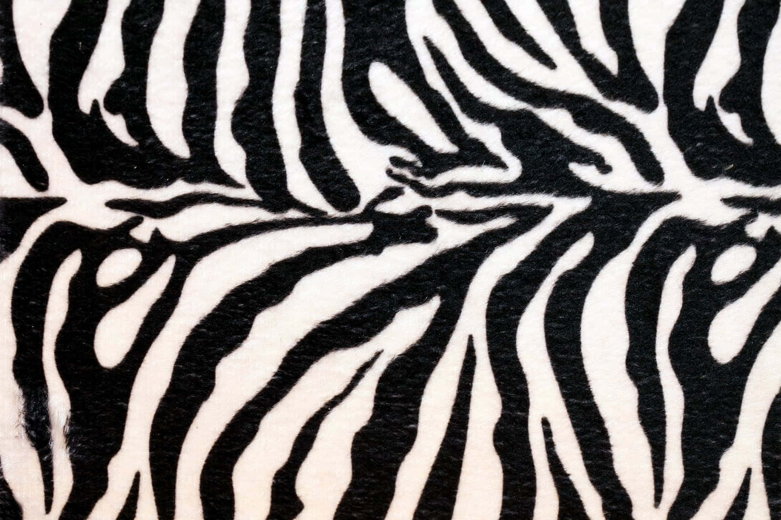 Texturedi Stoffa A Stampa Zebra