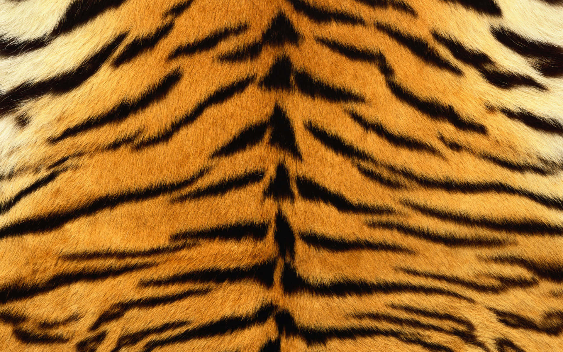 Ettæt Billede Af En Tigers Pels.