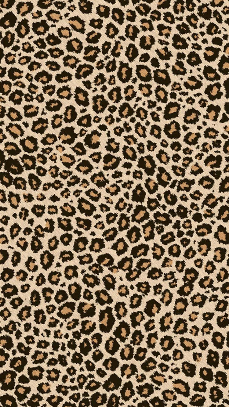 Mirror Your Wild Side with Animal Print iPhones Wallpaper