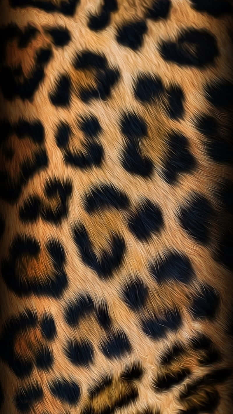 Texturedi Pelle Di Leopardo - Foto Ravvicinata Sfondo