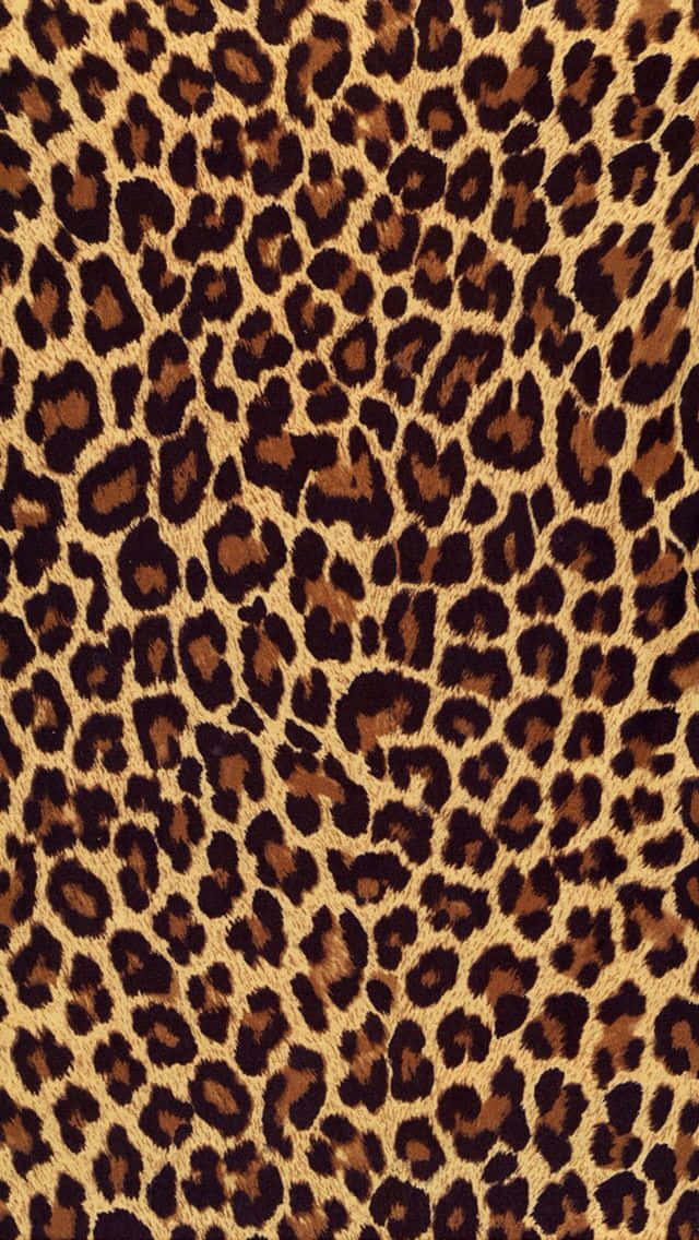 Go Wild with Animal Print Iphone! Wallpaper