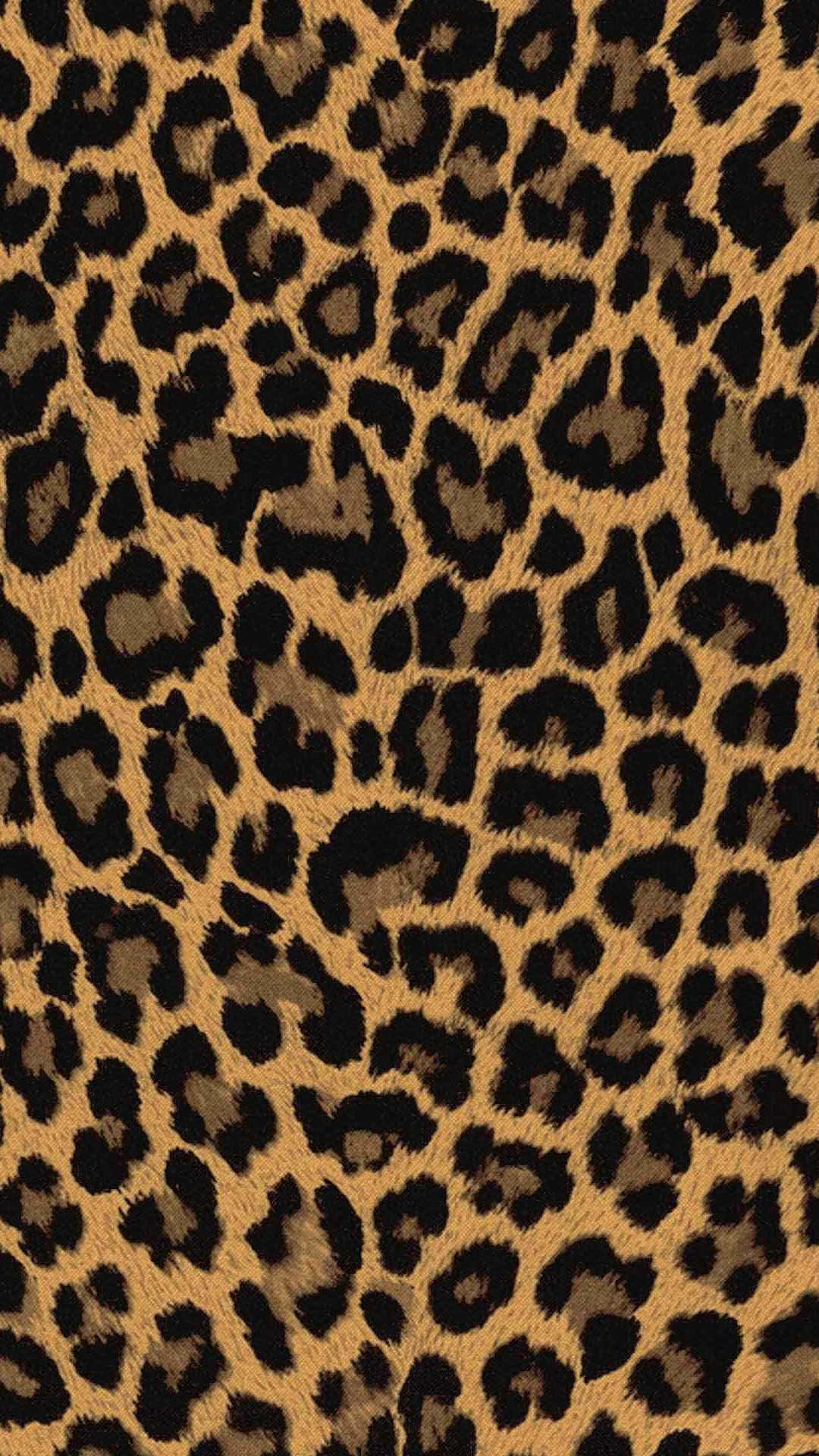 Upgrade to Animal Print with the latest iPhone Wallpaper