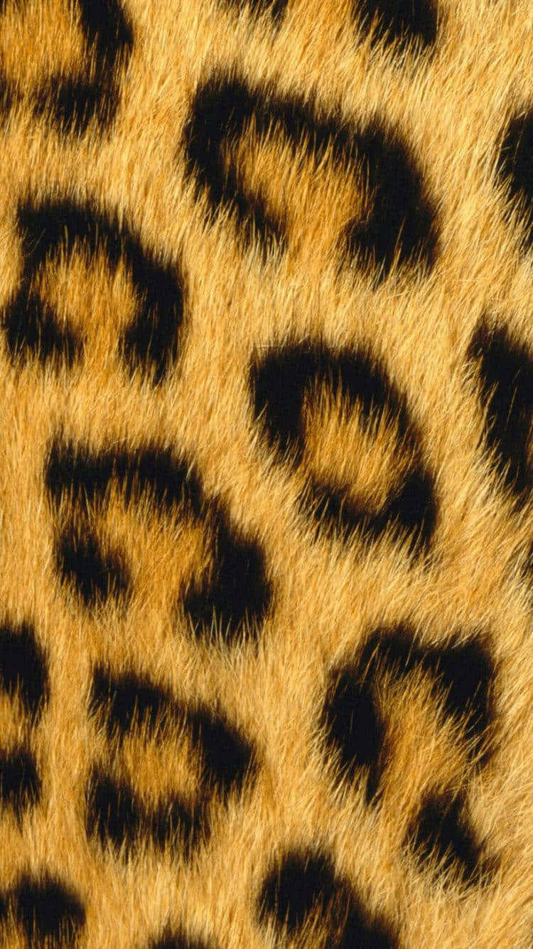 Leopardtrycktextur - Lagerfoto Wallpaper