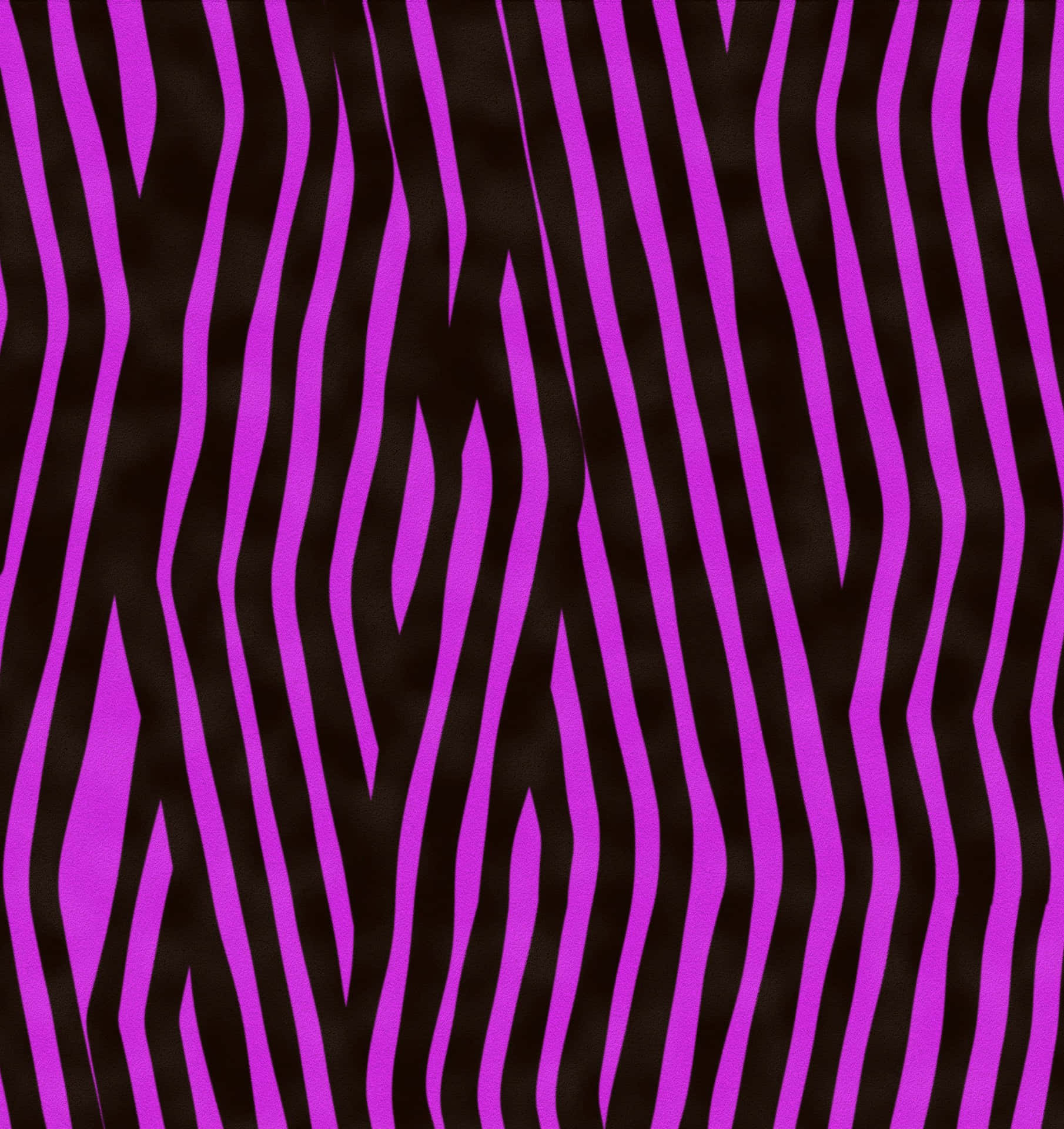 Djurmönsterlila Zebra Wallpaper