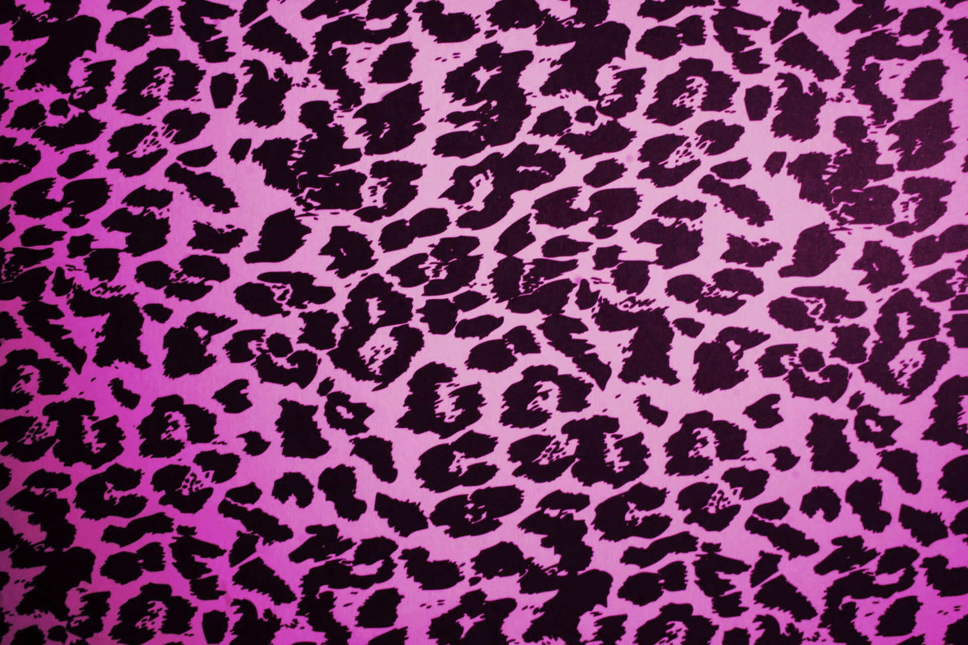 Entapet Med Leopardtryck I Rosa Och Svart Wallpaper