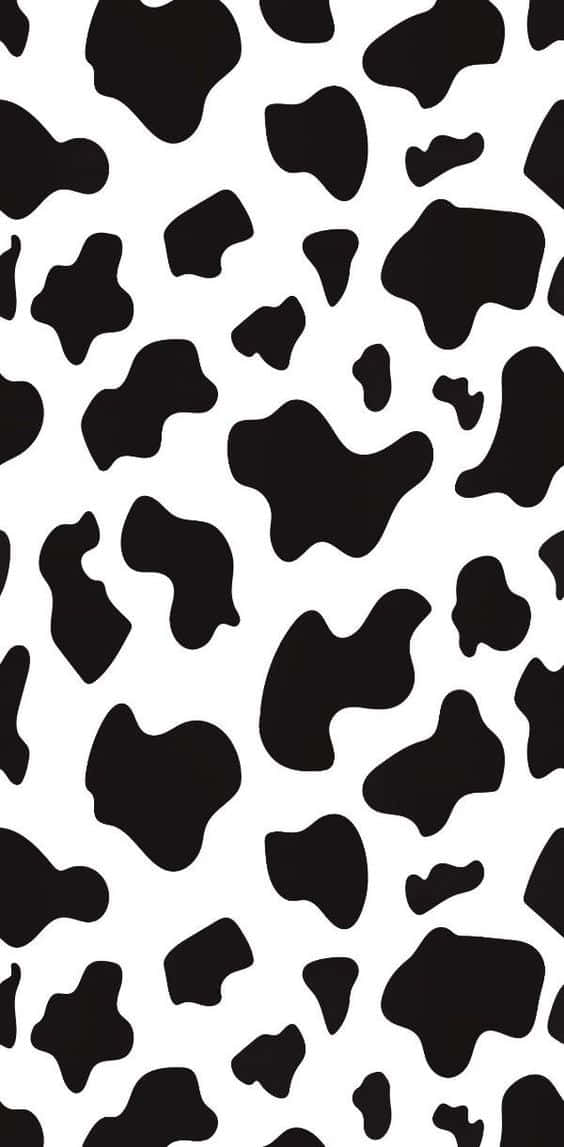 Free Animal Print Wallpaper Downloads, [100+] Animal Print Wallpapers for  FREE 