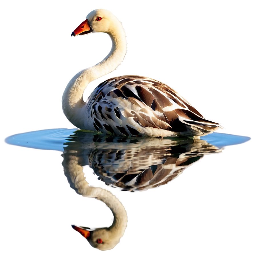 Animal Reflection Png Cgu91 PNG