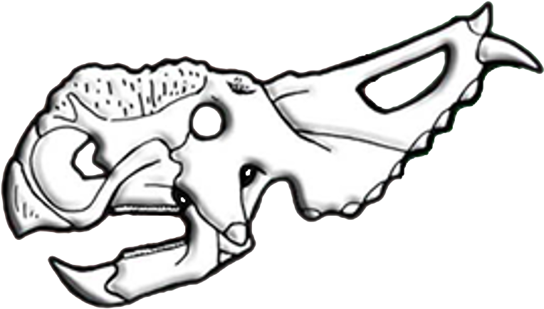 Animal_ Skull_ Illustration.png PNG