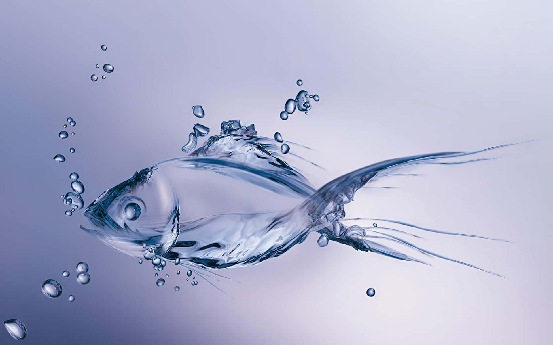 Einfisch Schwimmt Im Wasser Mit Blasen.