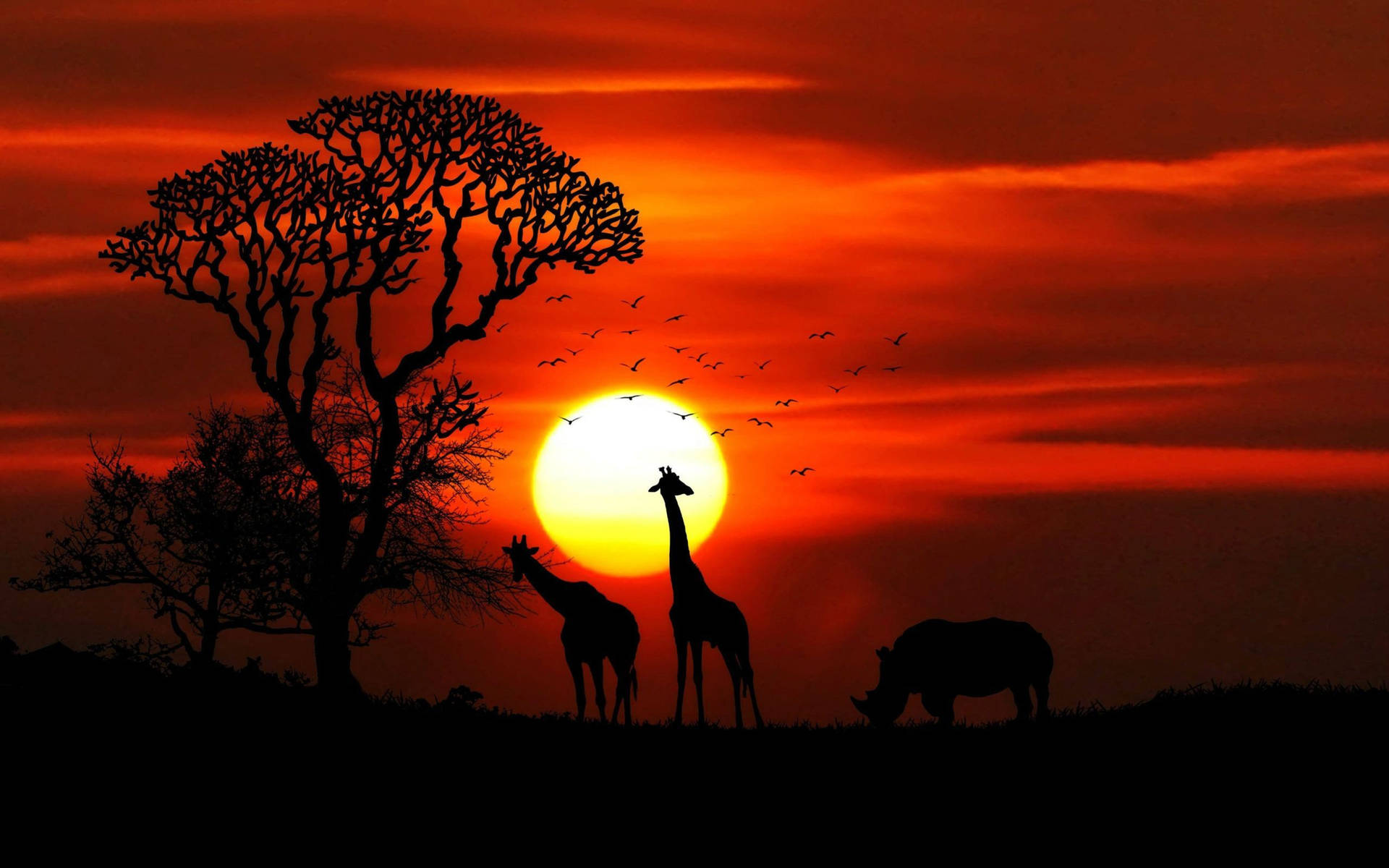 Animals Silhouette In Africa Picture