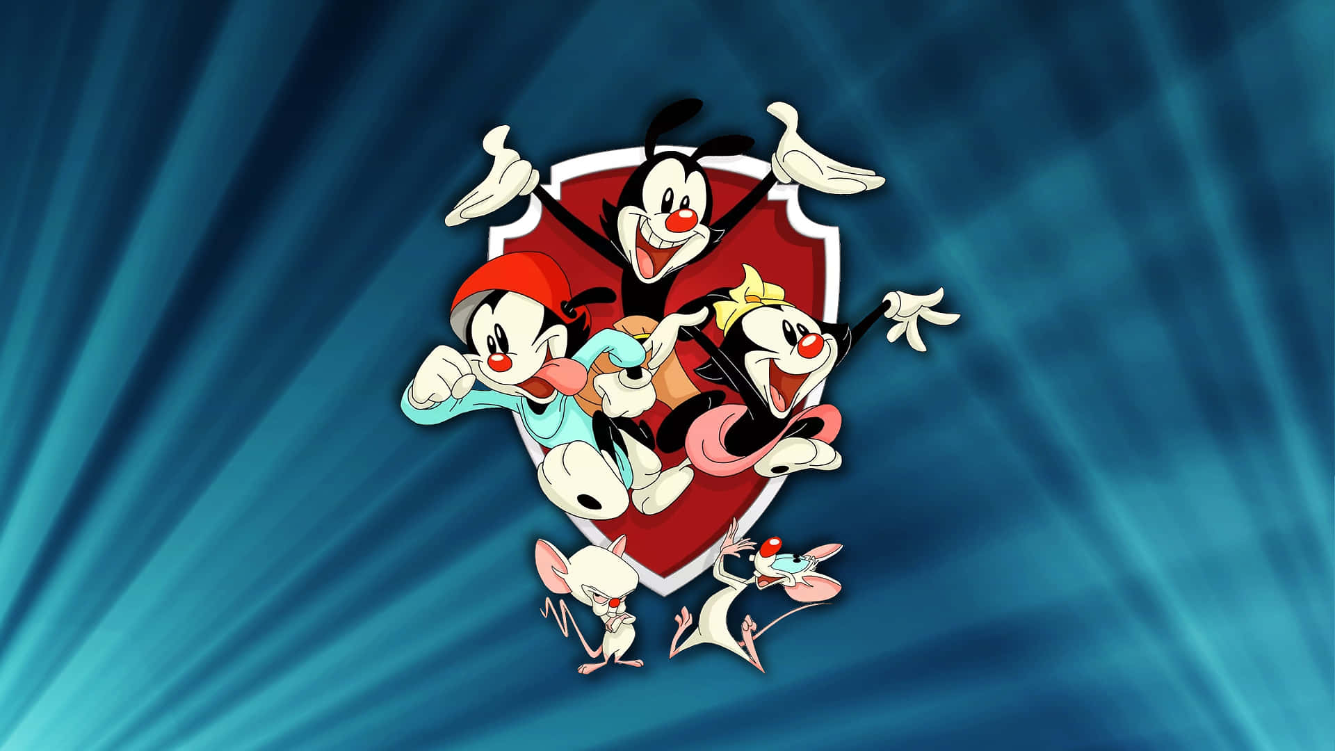 Looney Tunes Cartoon Characters In A Shield