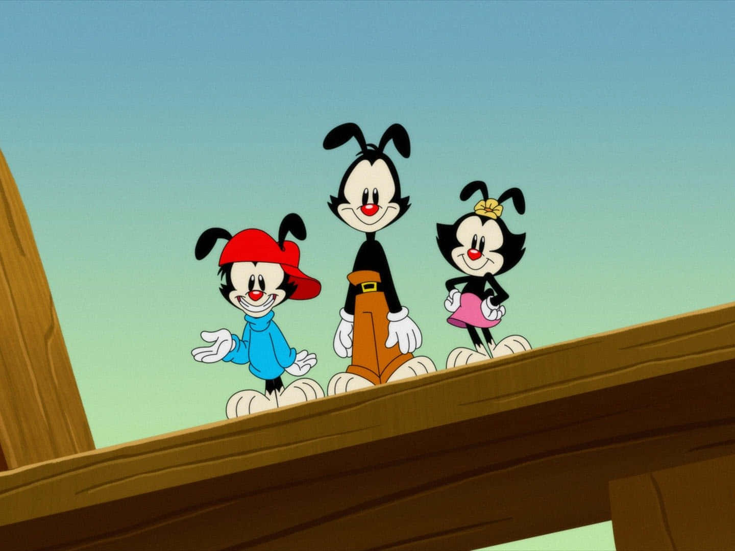 Zoom in to Animaniacs