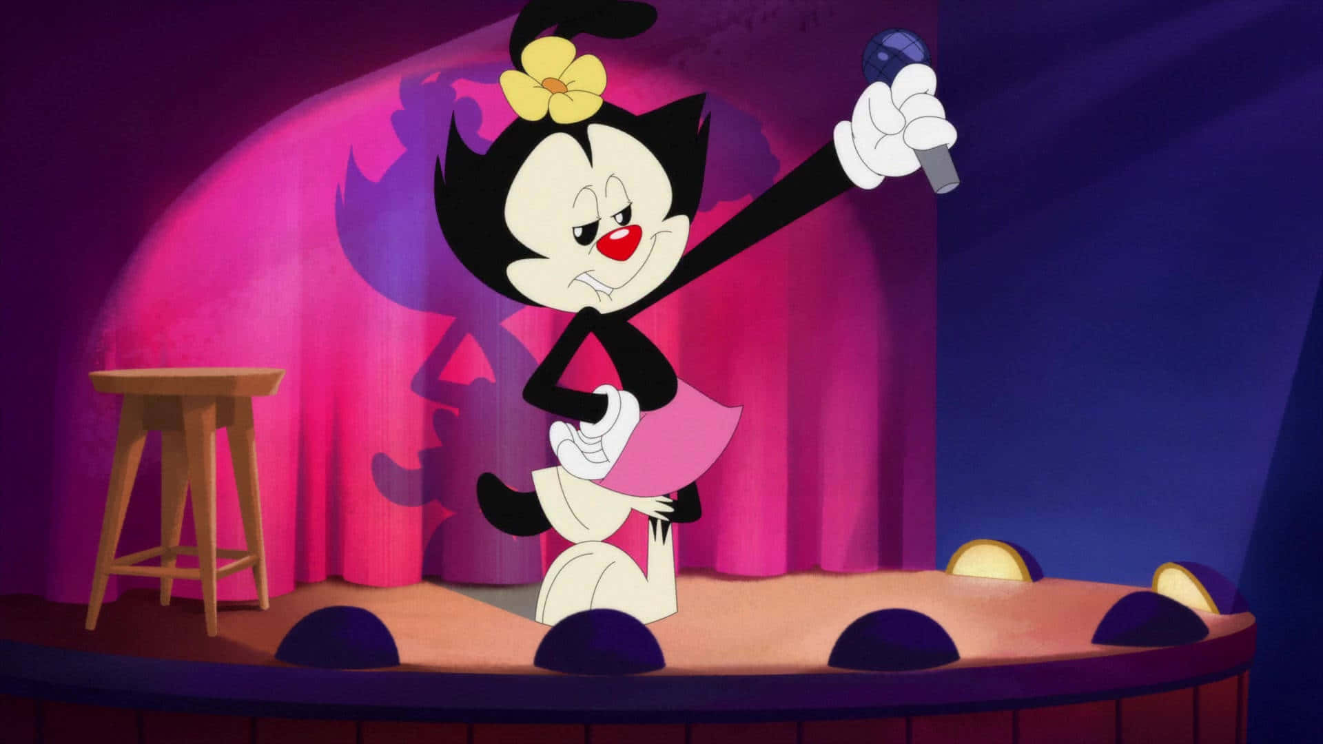 "Catch the Animaniacs in Their Hilarious Adventures!"