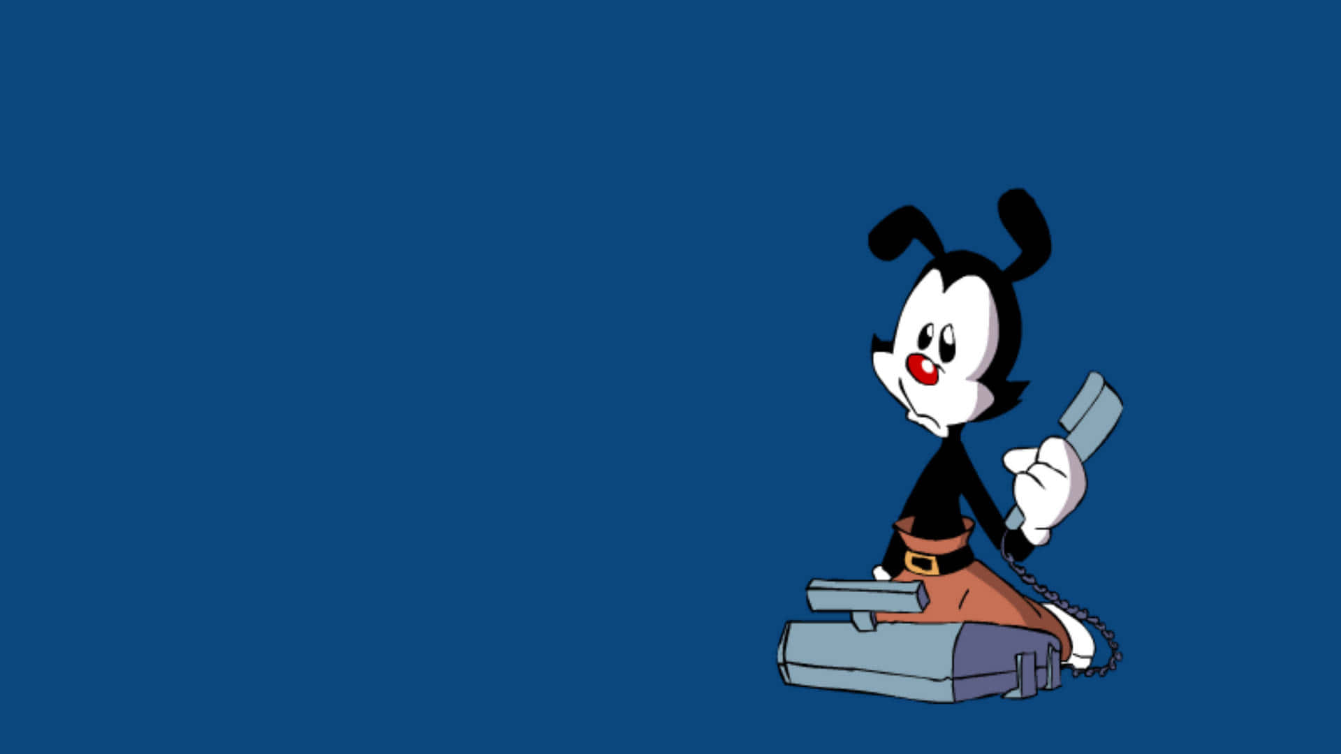 Scoprila Prossima Generazione Di Animaniacs