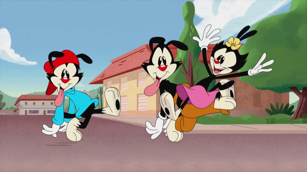 "Get ready for the adventures of Animaniacs!"