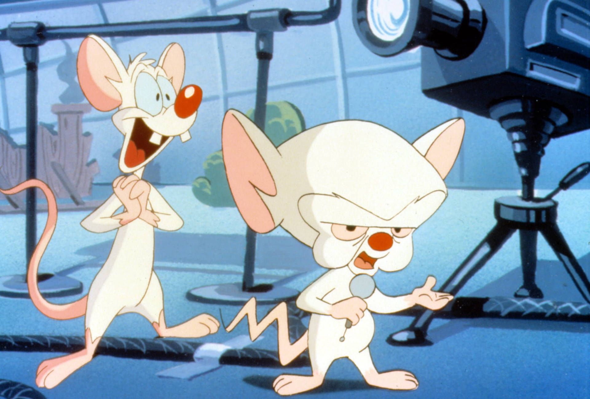 Animaniacs Pinky And The Brain Background