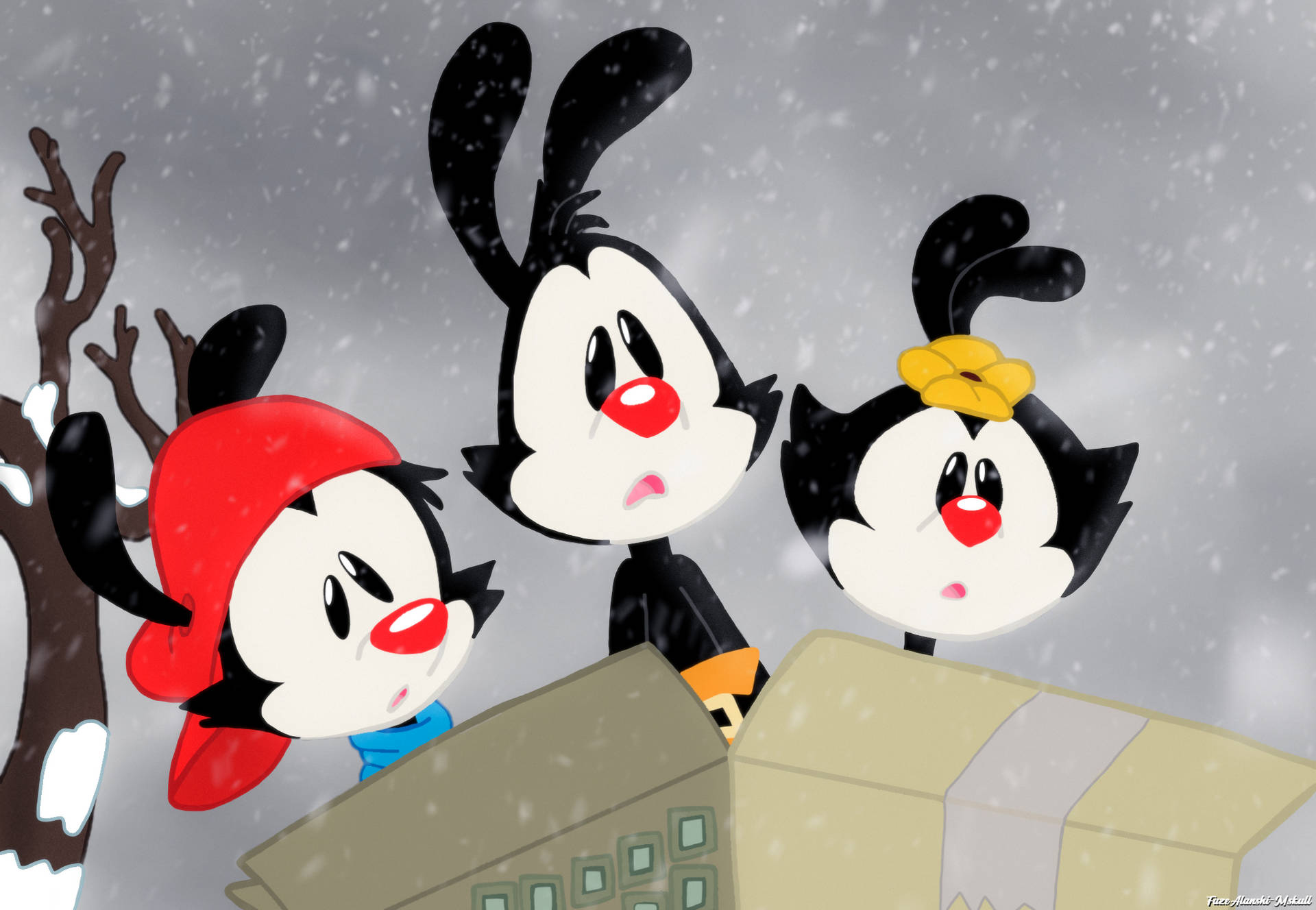 Animaniacs Warners In Snow Background