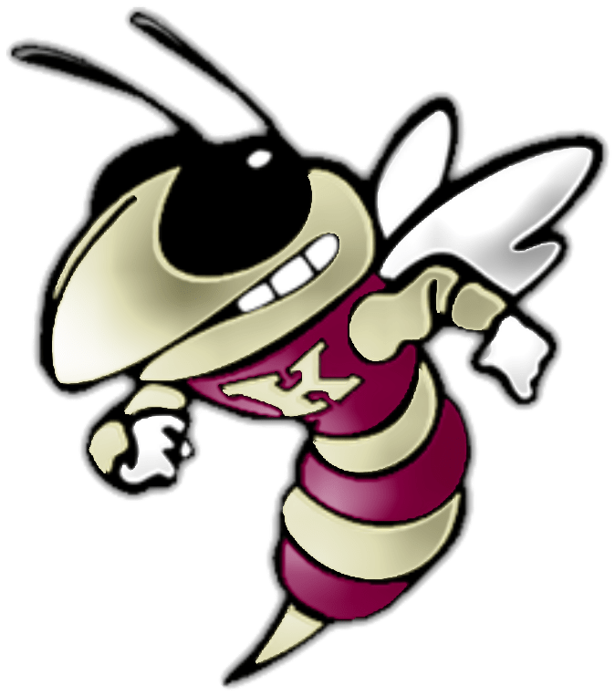 Animated Bee Character Illustration PNG