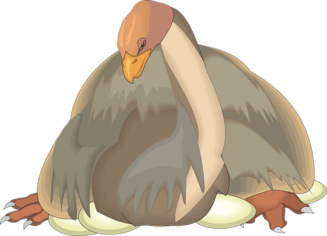 Animated Bird Incubating Eggs PNG