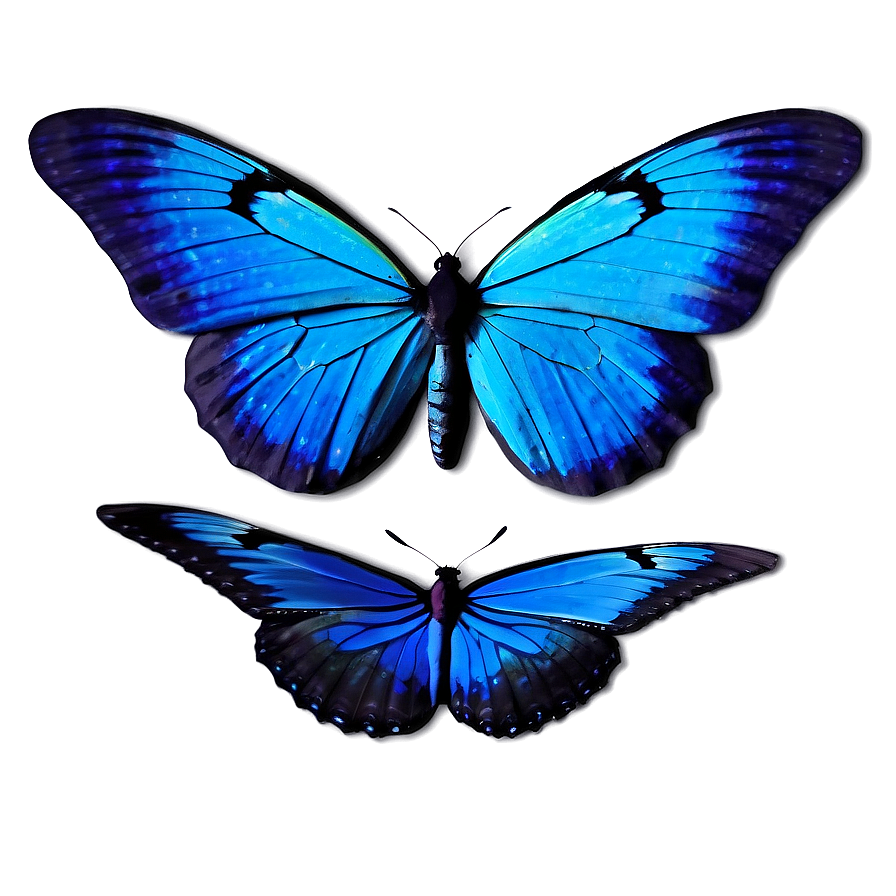 Animated Blue Butterflies Png Sem51 PNG