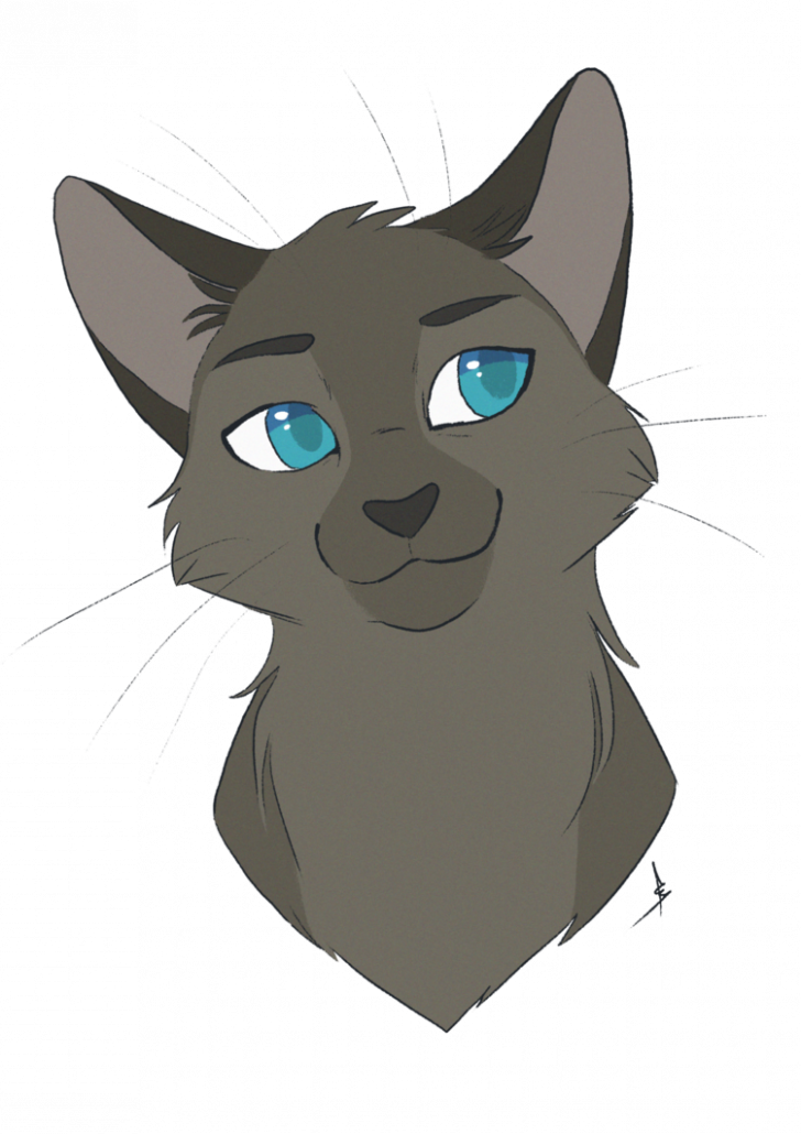 Animated Blue Eyed Cat Sketch.png PNG