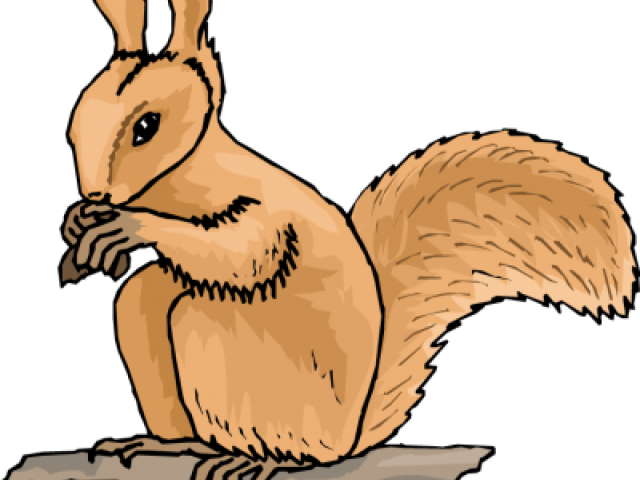 Animated Brown Squirrel Eating PNG