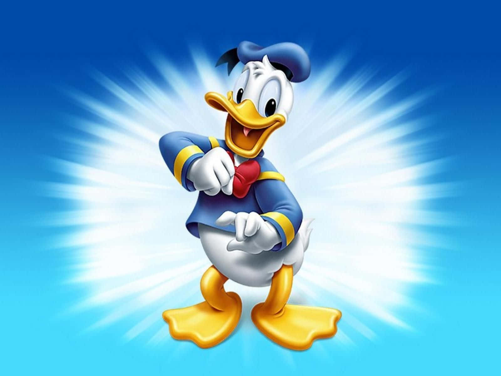 Donald Duck In Blue And White