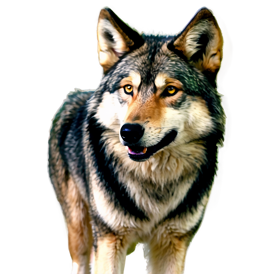 Animated Cartoon Wolf Png Eay86 PNG