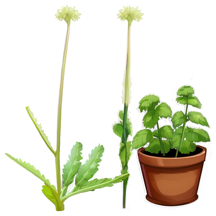 Animated Catnip Plant Png 52 PNG