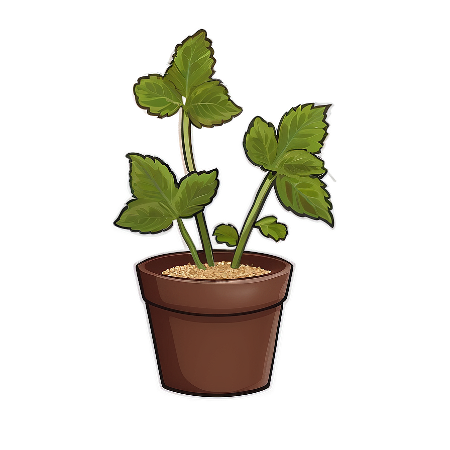 Animated Catnip Plant Png 59 PNG