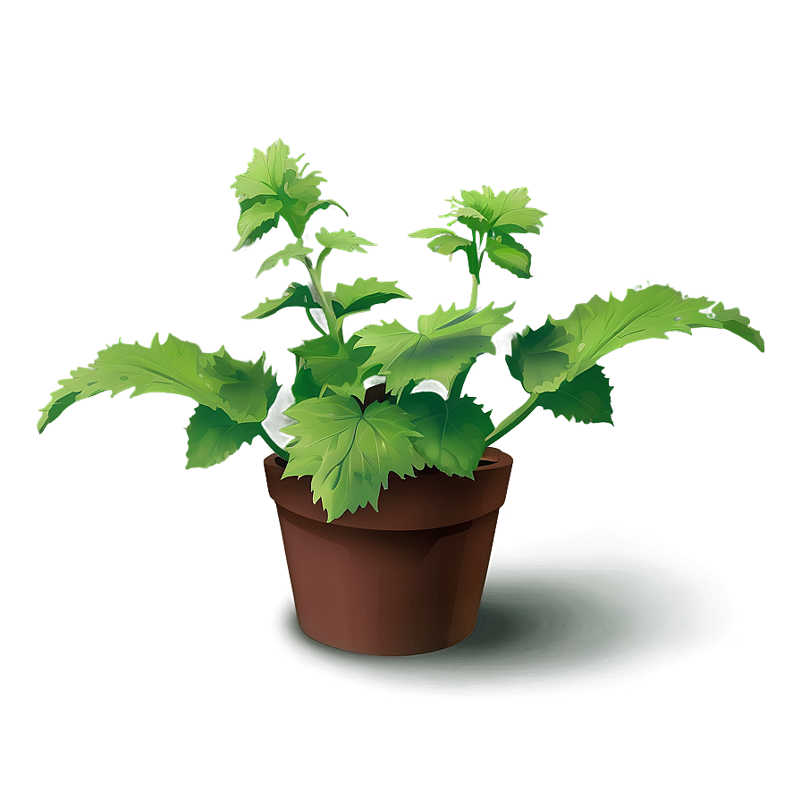 Animated Catnip Plant Png 59 PNG