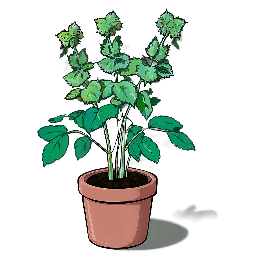 Animated Catnip Plant Png 99 PNG