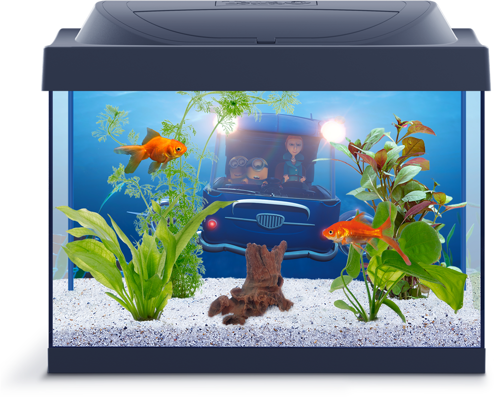 Animated Character Aquarium Scene PNG