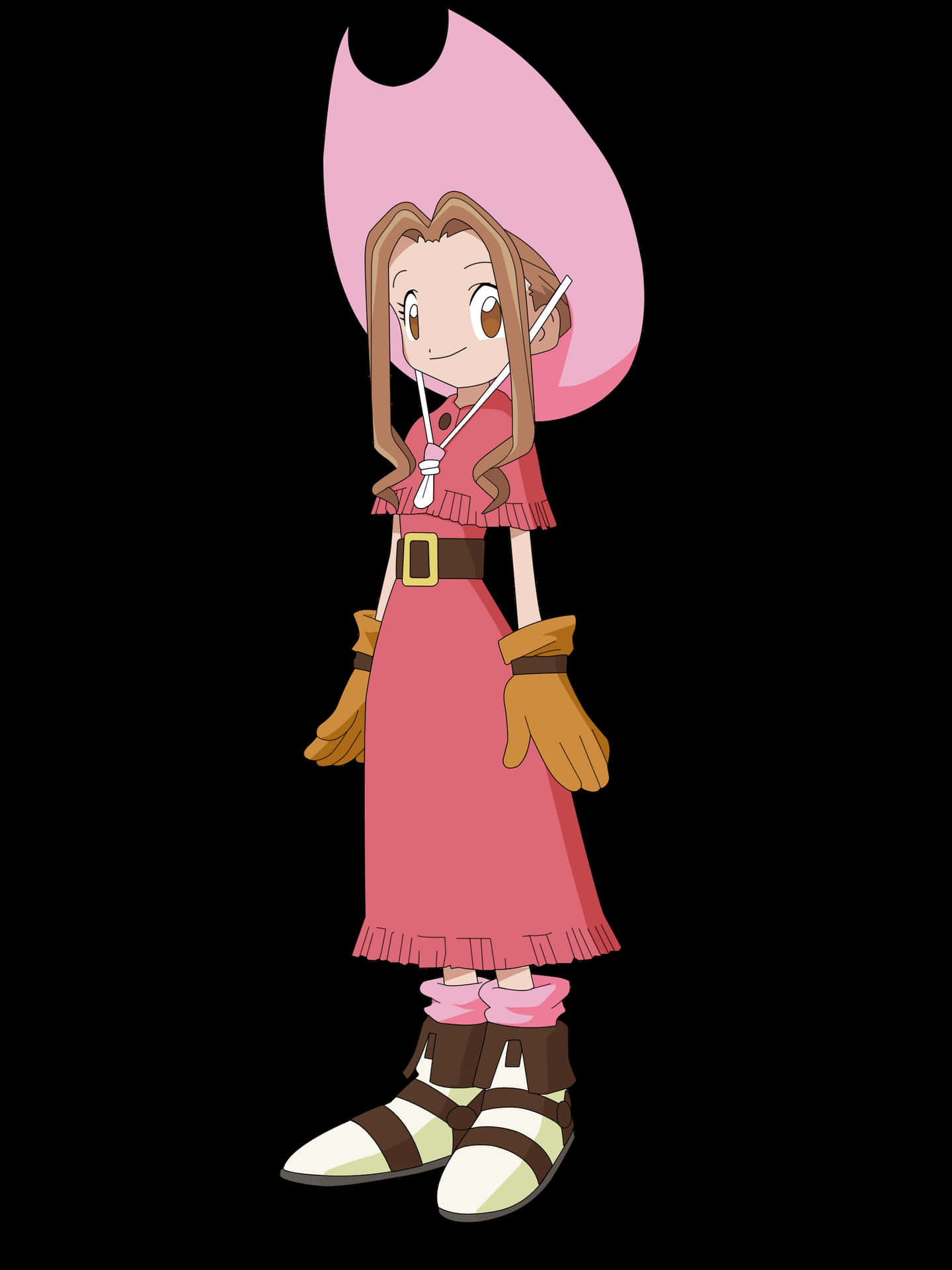 Animated Character Mimi Tachikawa From Digimon Adventure Series Wallpaper