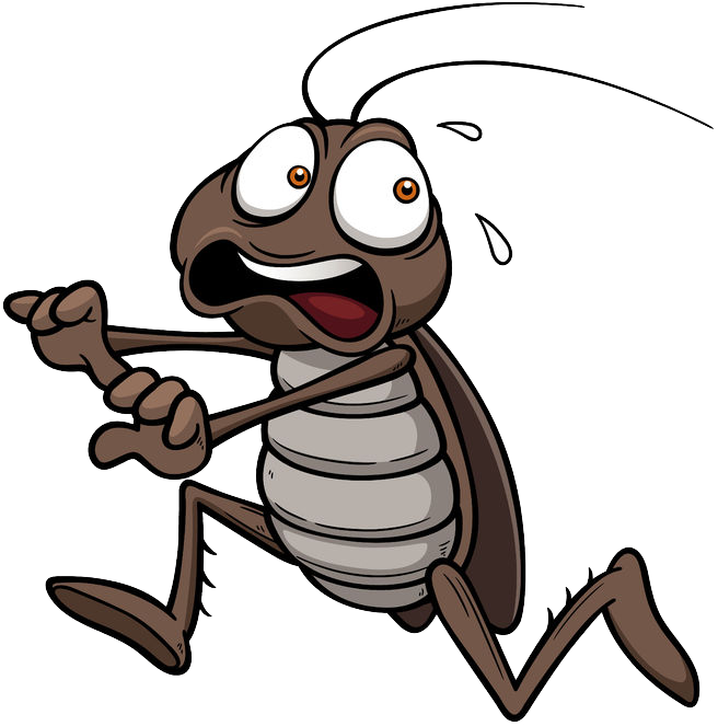 Animated Cockroach Character PNG