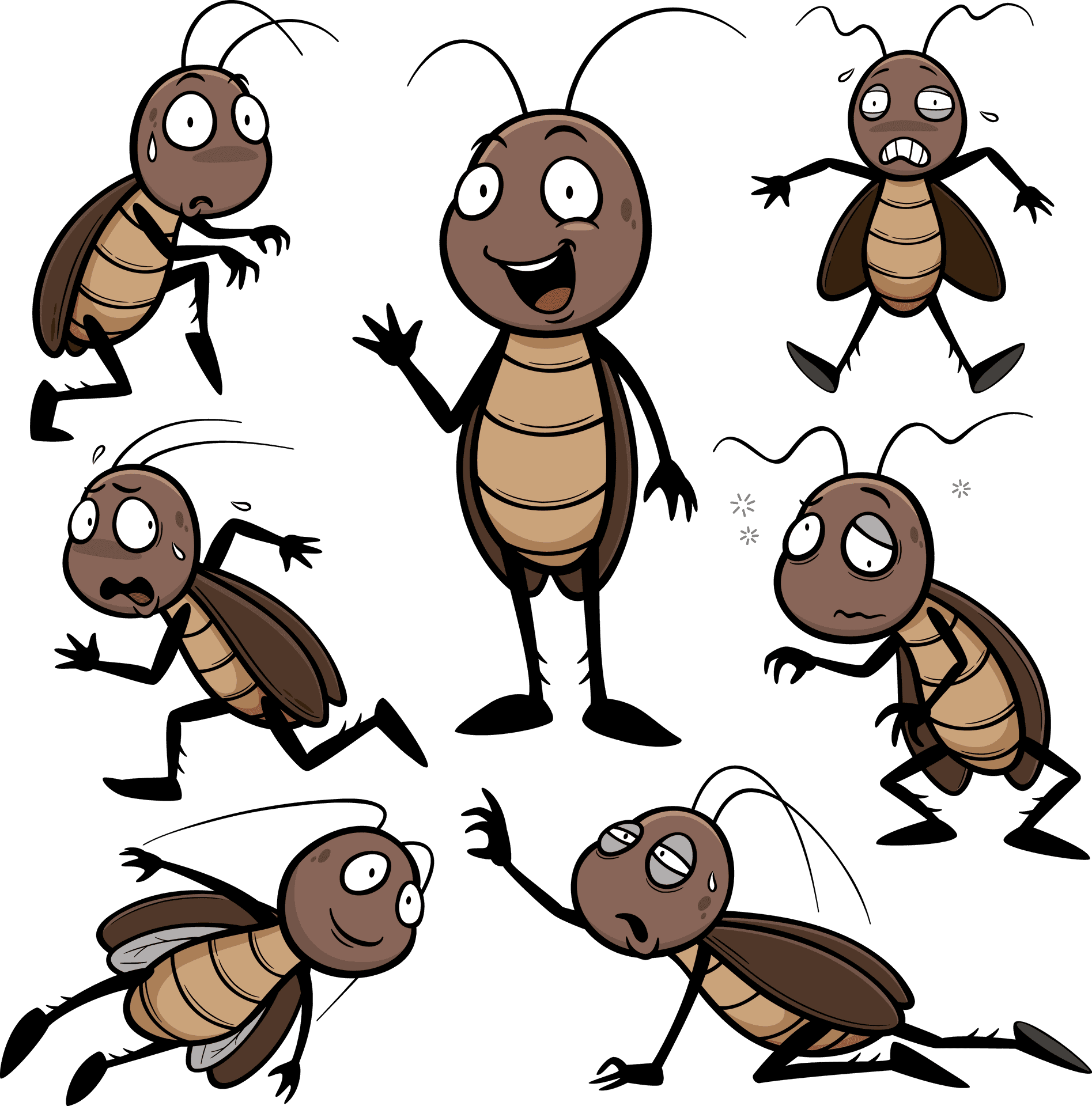 Animated Cockroach Expressions PNG